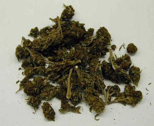 Maxi sequestro della finanza di Perugia: 40 mila euro di marijuana nella valigia di una donna fermata a Parma