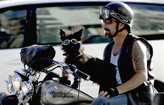 Foligno, domenica 21 ottobre Motoraduno di centauri provenienti da tutto il centro Italia