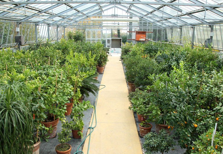 Comunità Montana Trasimeno-Medio Tevere, all’asta il Centro vivaistico di Pietrafitta