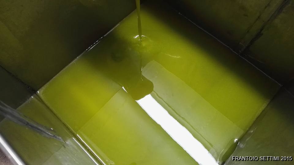 Frantoio Settimi e Figli: degustazioni e raccolta per i più piccoli