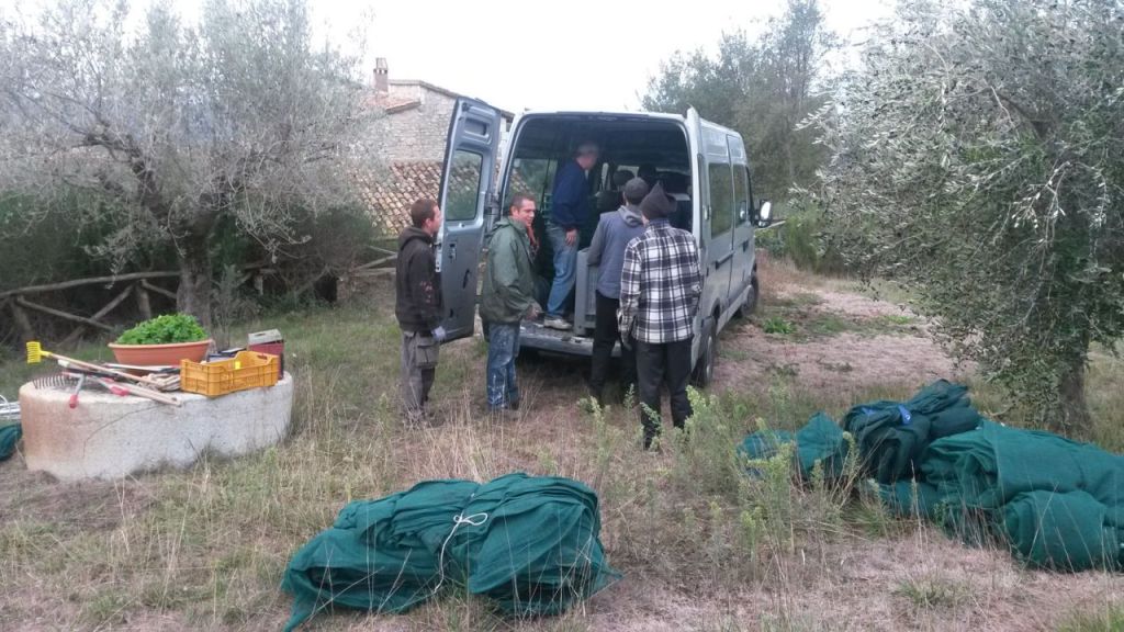 A Todi è nato l’olio della legalità