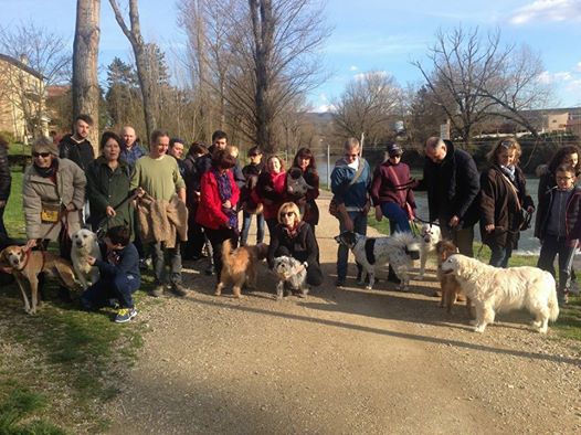 “Mob dog” sul lungotevere per dire “No alle esche avvelenate”