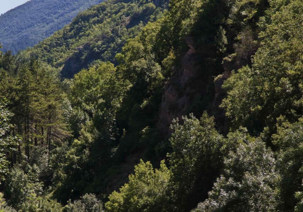 Viaggiatori sulla Flaminia, il 10 giugno 3° Itinerario “Ibis Redibis…” 2017