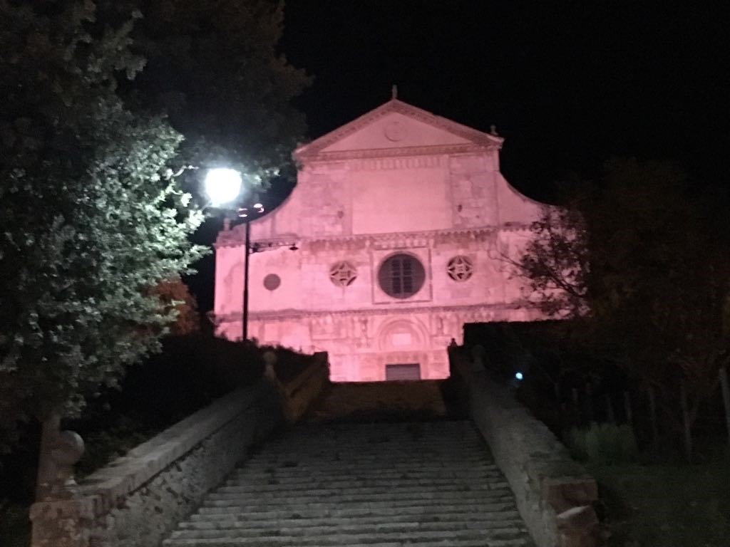 Campagna ‘Facciamo Luce sul Tumore al Pancreas’, San Pietro illuminato di viola