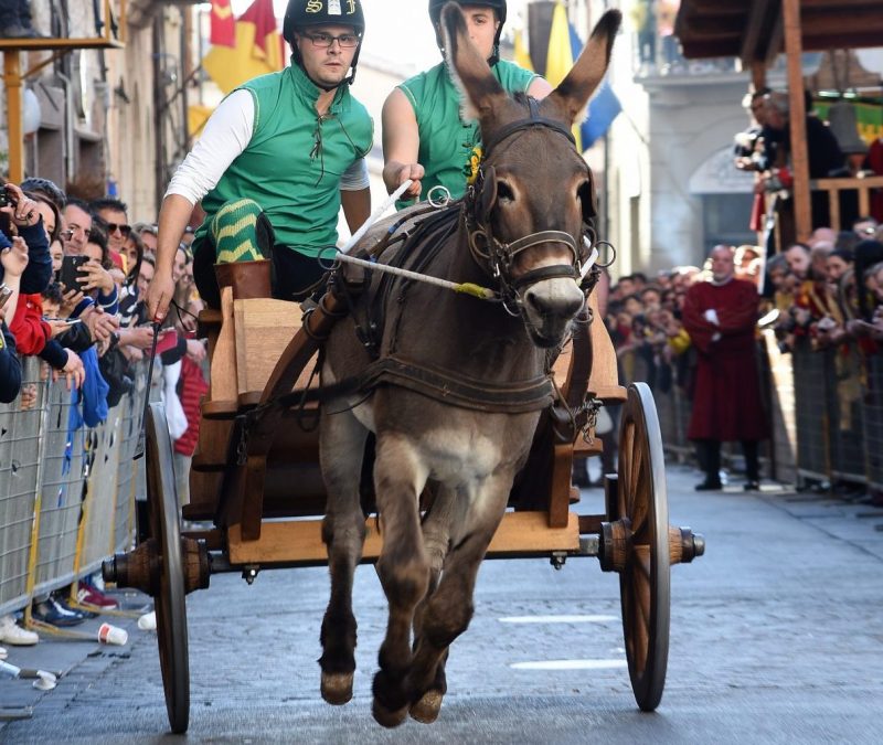 Giochi de le Porte, somaro Indio positivo all’antidoping