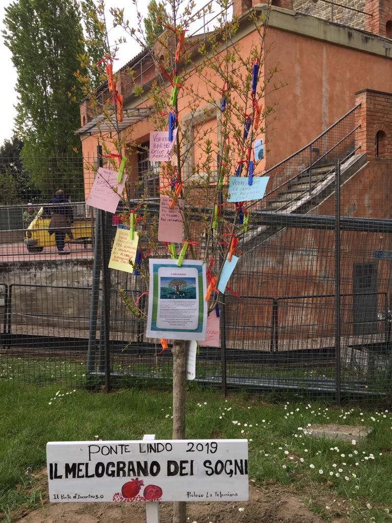 Una giornata ecologica per ripulire Ponte Felcino, Gesenu partecipa a “Ponte Lindo 2019”