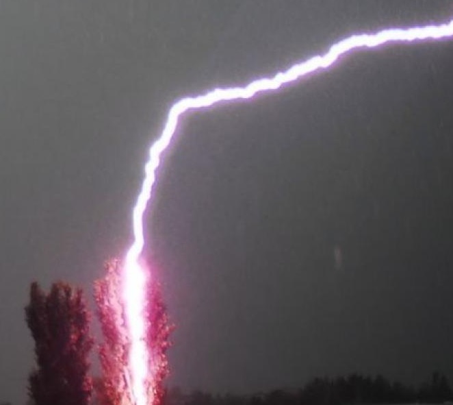 Tempesta di fulmini, alberi abbattuti e in fiamme