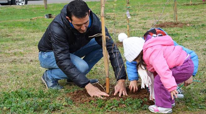 Ogni nuovo nato avrà un albero da curare nella propria vita