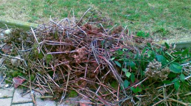 Ad Assisi, raccolta straordinaria porta a porta di erba-potature-alluminio