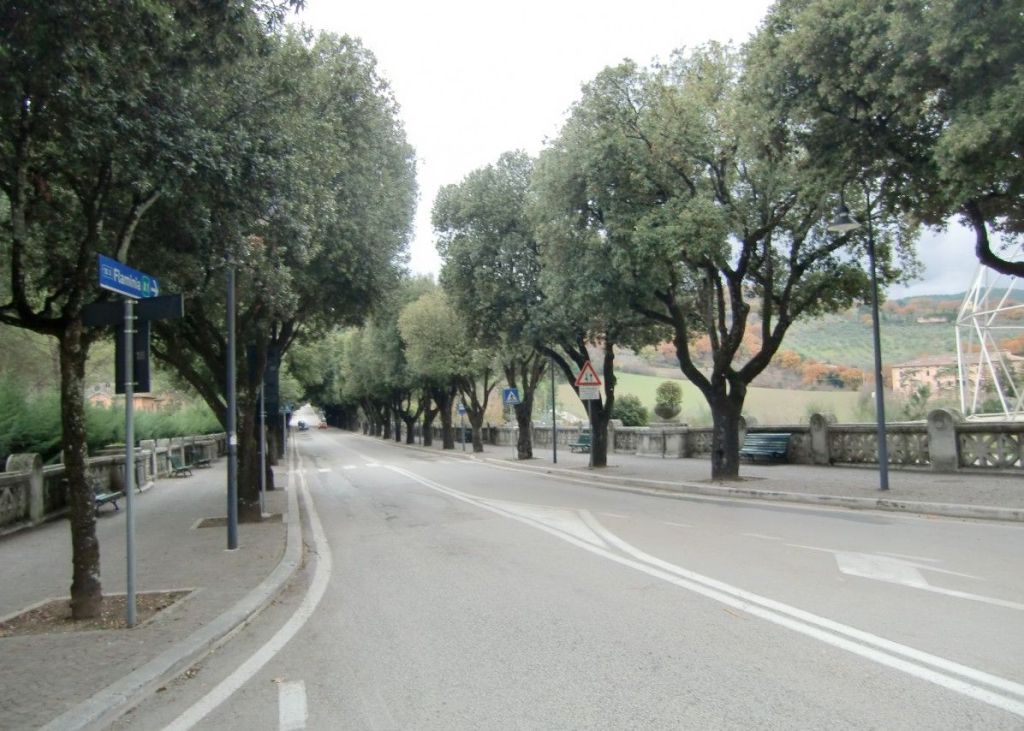 Manutenzione alberi a Spoleto | Al via il trattamento di 160 platani