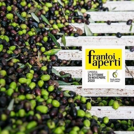 Tutto pronto per la XXIII^ edizione di “Frantoi aperti in Umbria” | Oggi la presentazione