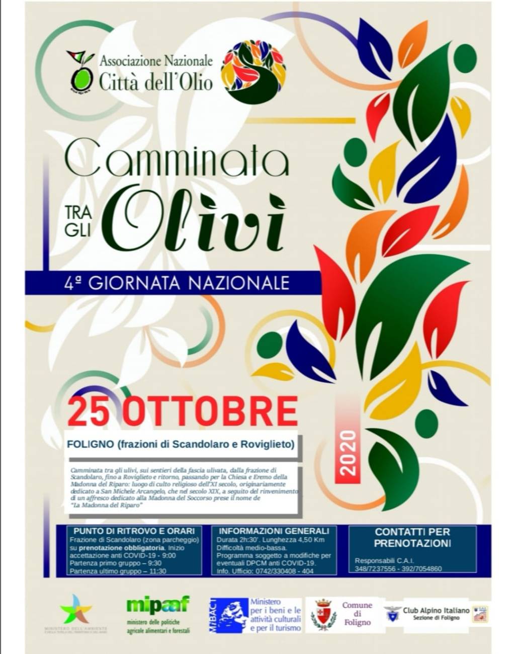 “Camminata tra gli olivi”: si parte da Roviglieto e Scandolaro