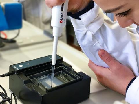 Sansi Leonardi Volta, studenti protagonisti in DAD con il progetto A.B.E.