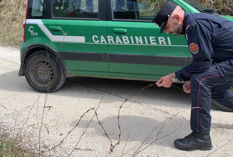il filo spinato scoperto dai carabinieri
