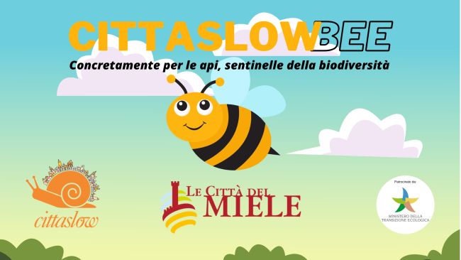 Giornata mondiale delle api, Orvieto coordina a livello internazionale “Cittaslow”