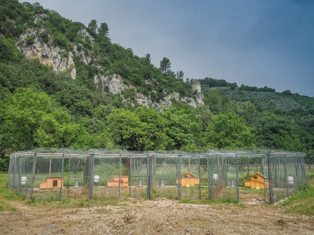 Una fattoria per crescere, il progetto della Chiesa Valdese