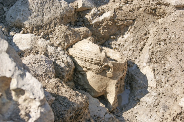 Scoperto nuovo tempio nell’area sacra del “Campo della fiera”, scavi da agosto