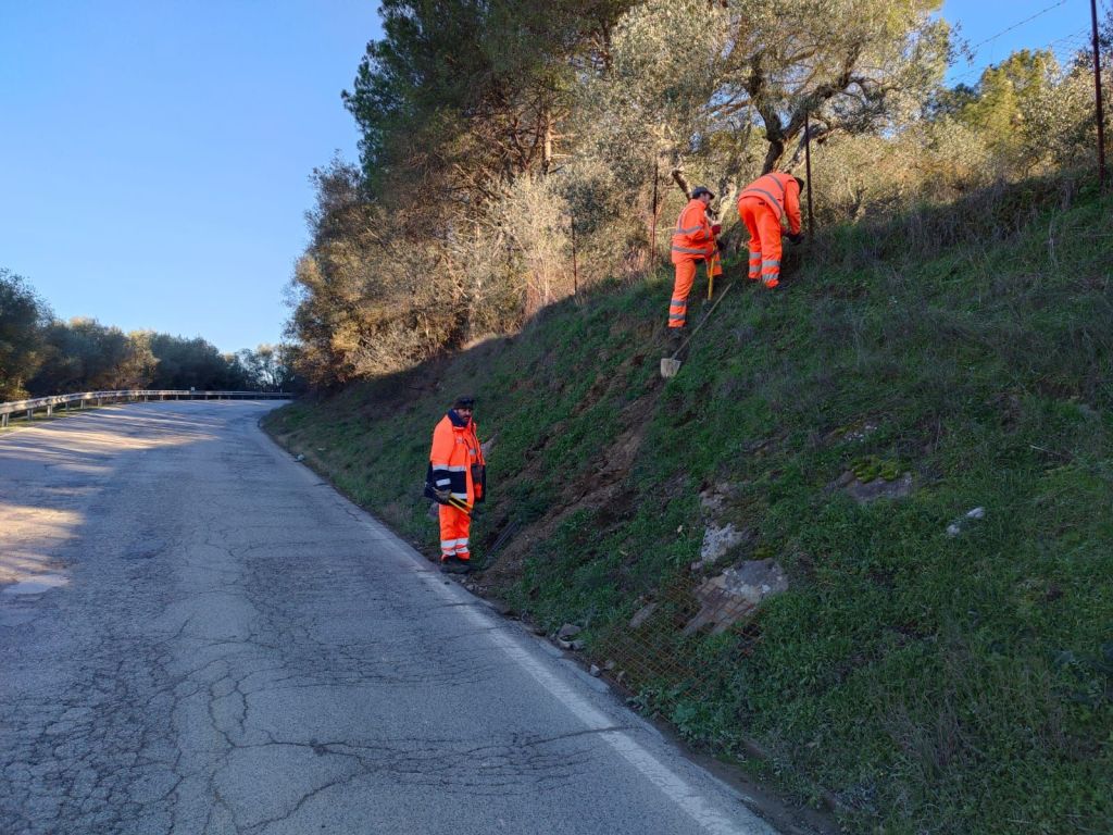 Fauna Selvatica al Trasimeno , più prevenzione con i dissuasori