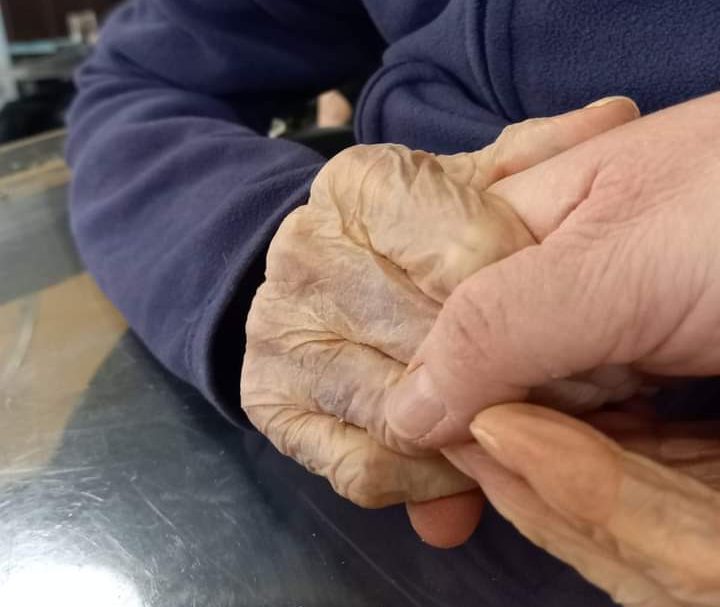 assistenza domiciliare anziano anziani