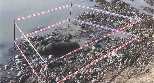 Bomba sul fiume Paglia