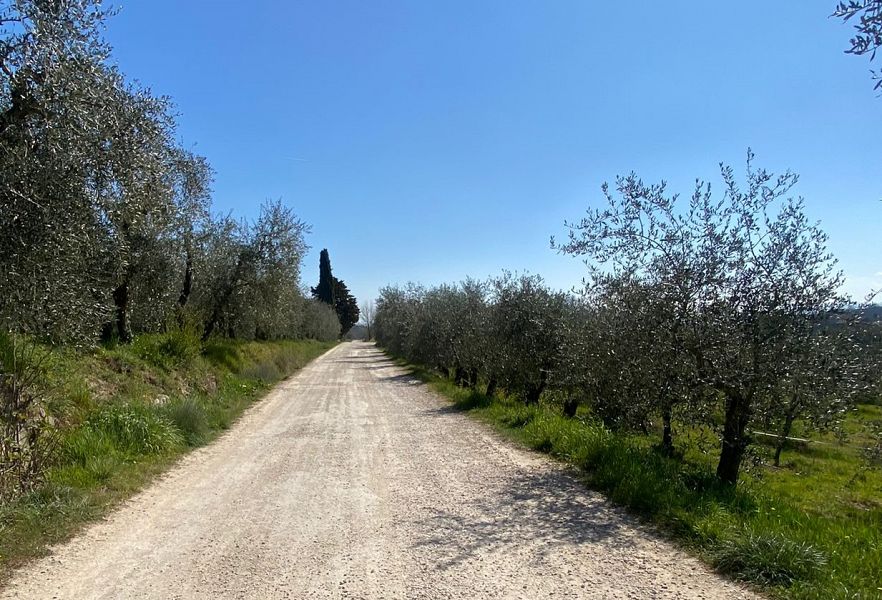 Stanziati fondi per le strade bianche di Giano dell’Umbria grazie all’Afor