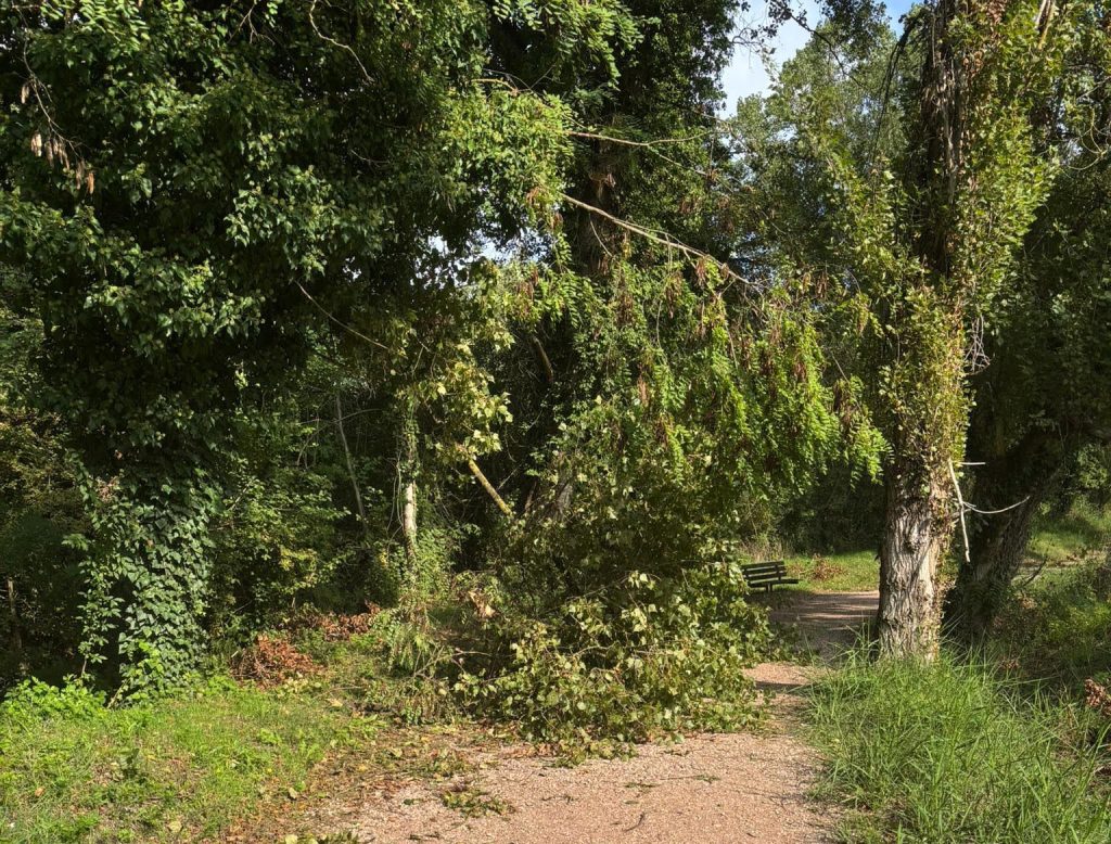 Maltempo, manutenzioni e rischi al percorso verde di Ponte Felcino