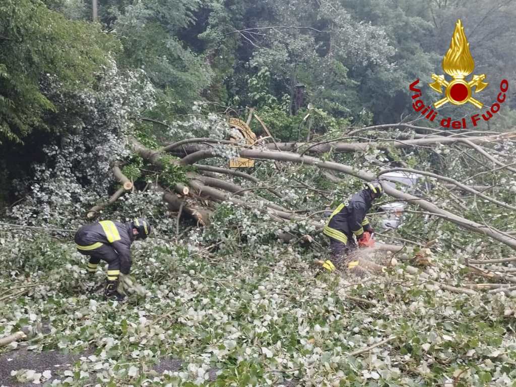 A Terni tanti interventi per il vento | Albero crolla su un’auto
