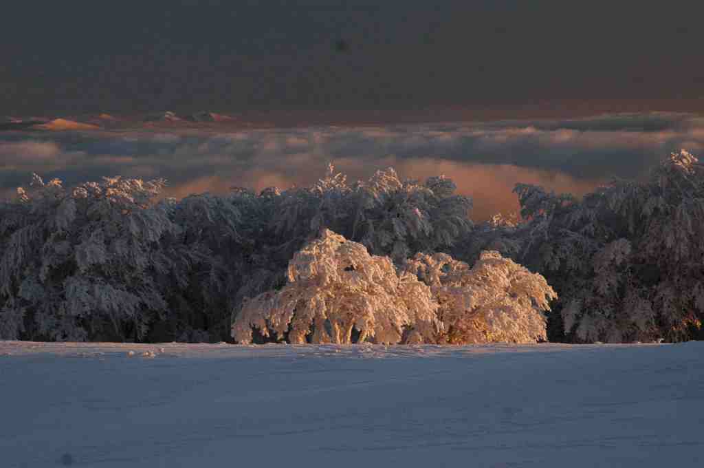 La Valnerina, il GrIG: la nuova “terra promessa” delle “torri” eoliche