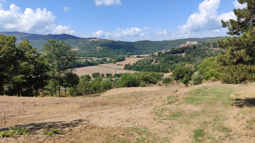 Nasce il Teatro della Terra d’Umbria (TTU), un progetto innovativo sulle colline marscianesi