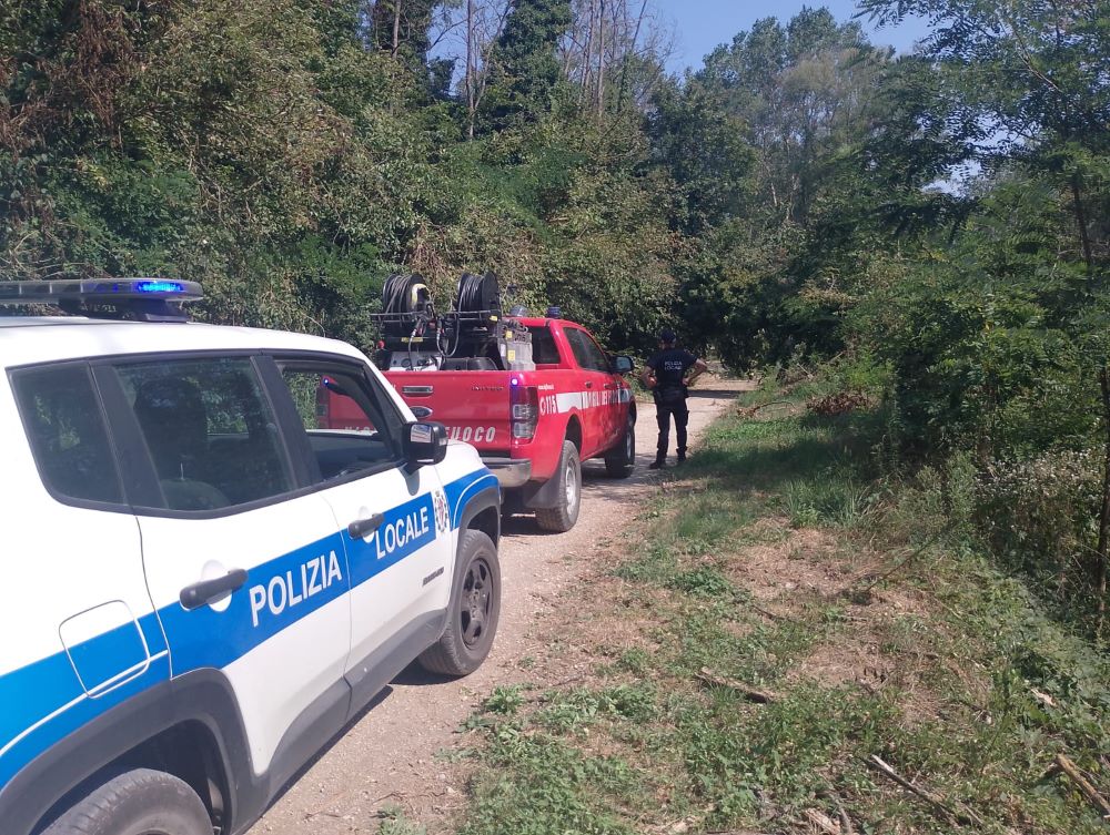 Albero cade sulla ciclovia, arrivano i pompieri