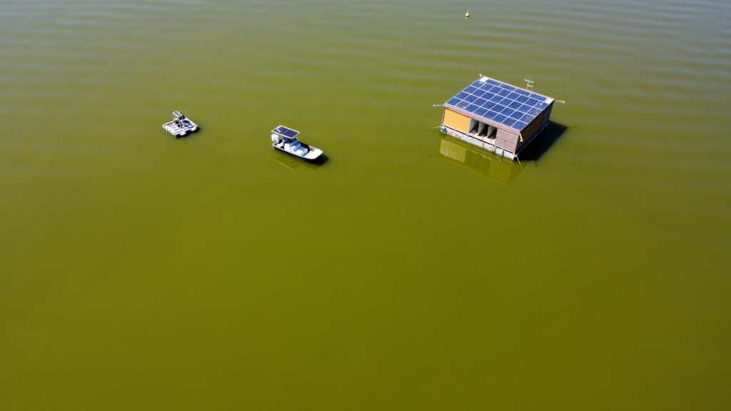 Trasimeno, catturati oltre 12 milioni di chironomidi da Isola B