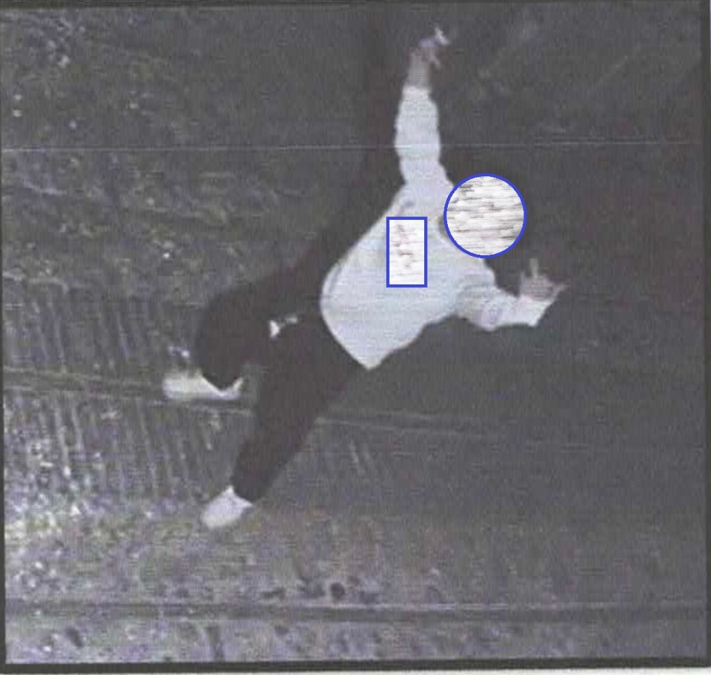 Mala movida, denunciati grazie a telecamera, foto | Vandali a anziana “cornacchia”