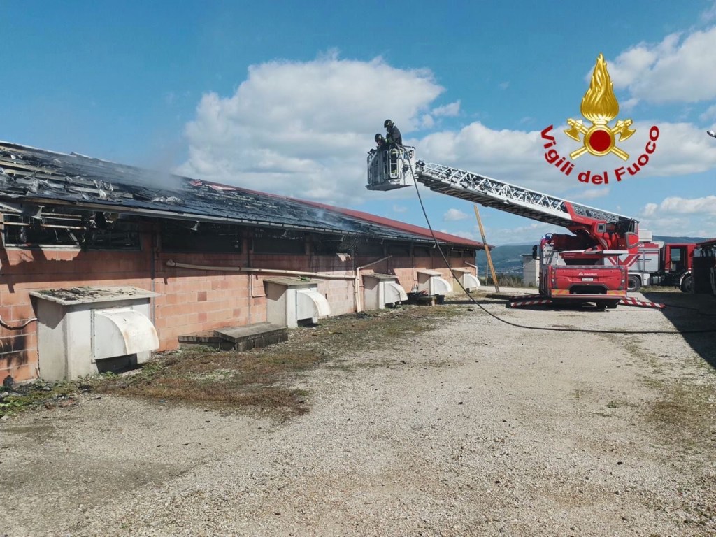 Marsciano, a fuoco i pannelli fotovoltaici sopra l’azienda zootecnica