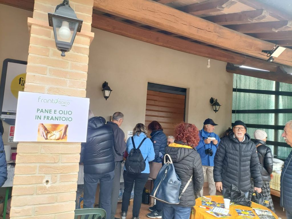 Olio nuovo in festa a Colle del Marchese per Frantotipico