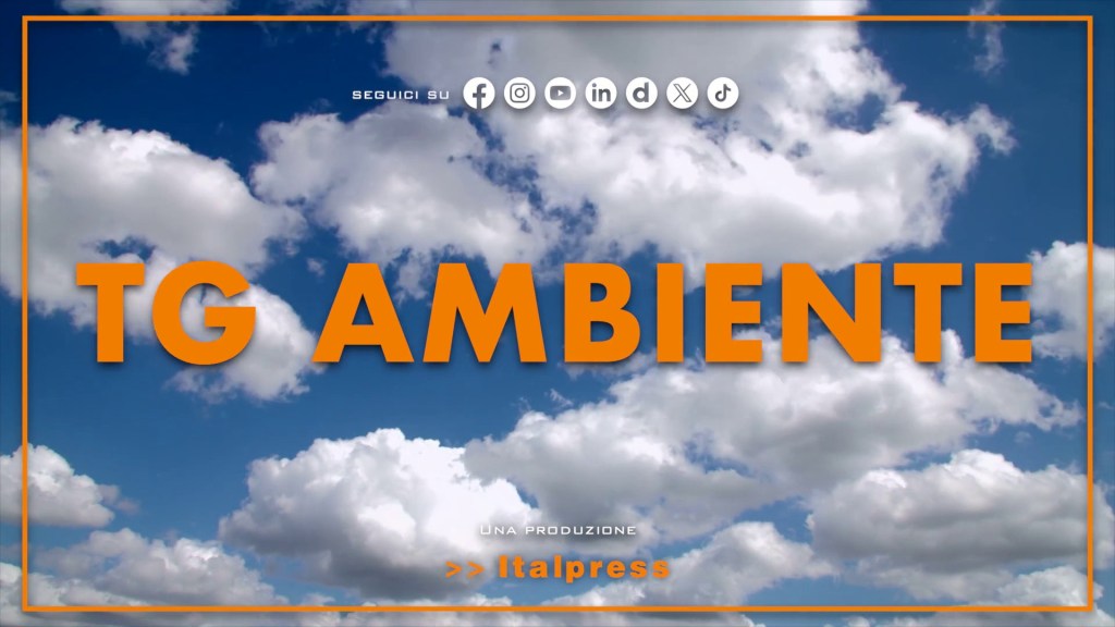 Tg Ambiente – 14/12/2025